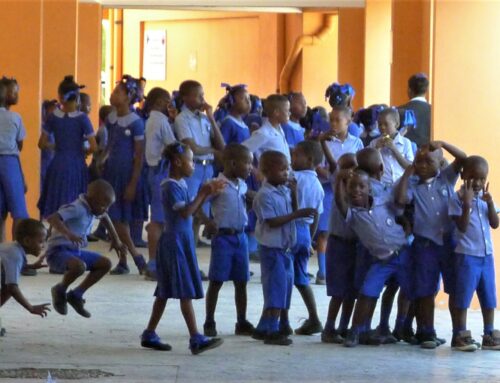 La Plateforme des Syndicats d’Enseignants et les Syndicats en Lutte pour une éducation publique de qualité pour tous et pour toutes en Haïti